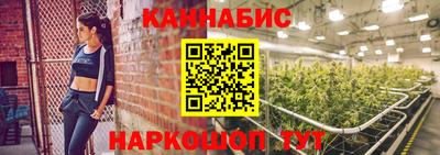 индика Кандалакша