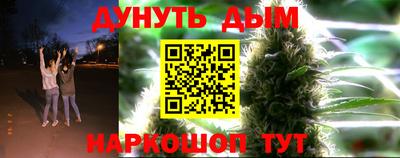 индика Кандалакша