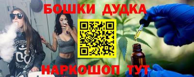 индика Кандалакша