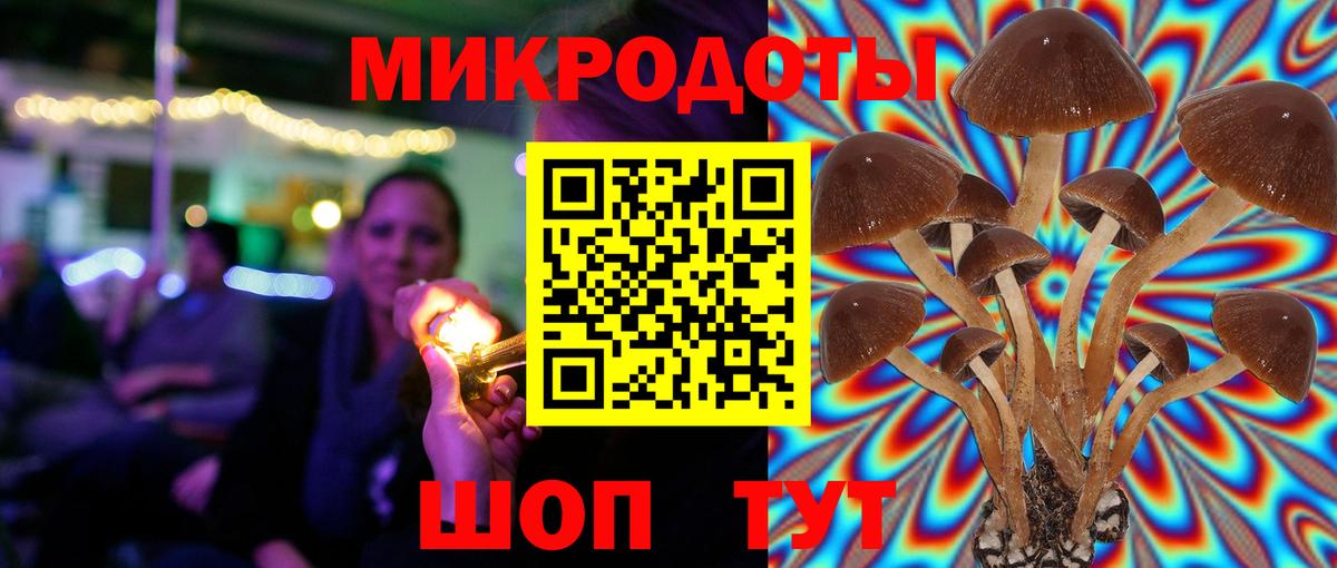 Галлюциногенные грибы Cubensis  Вход с VPN  Краснокаменск 